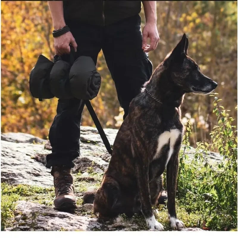Foldable Waterproof Portable Pet Outdoor Blanket